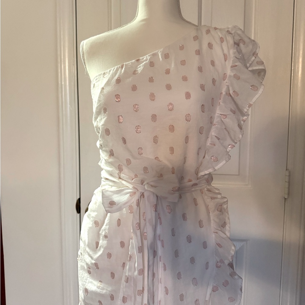 “LOVERS + FRIENDS” X Revolve Whitney Rose Dress - Picture 7 of 16
